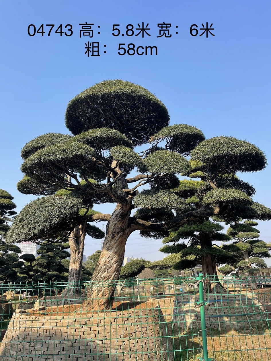 fa84b8078394a81c97b80e670bb6c48f_1-230621103649158.jpg